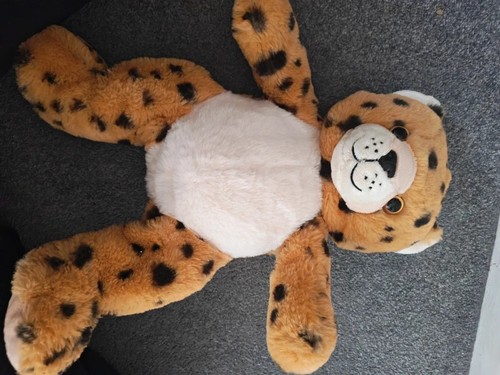 Cute leopard cheetah - leopard,