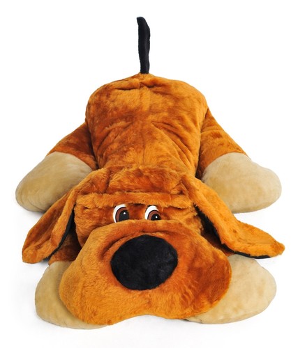 Giant large big teddy - , dog