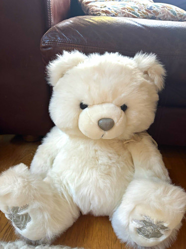Big fluffy white - fluffy, teddy