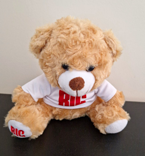 Plush bear 20cm - bear, 10-20cm