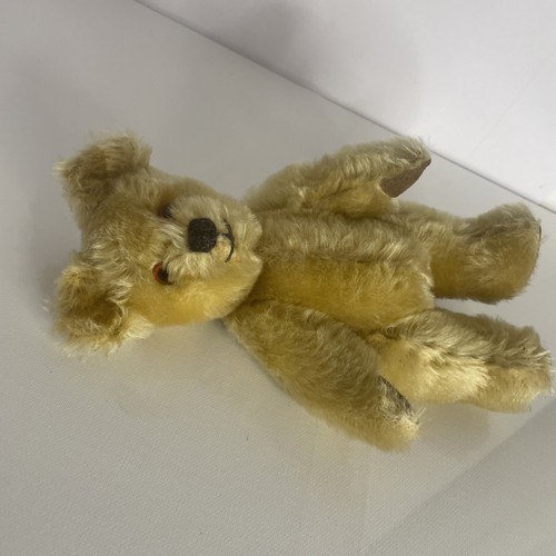 Big softies teddy bear - softies,