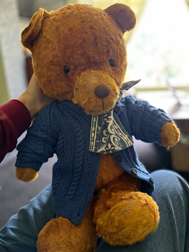 Big old cinnamon teddy - big,