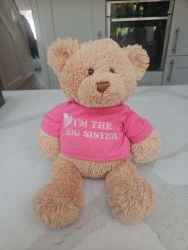 Big sister bear - big,