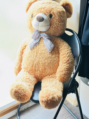 Ikasa giant teddy bear - giant,