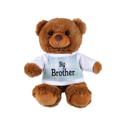 Big brother teddy - big,