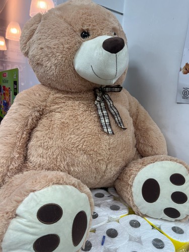 Big giant teddy bear - , huge