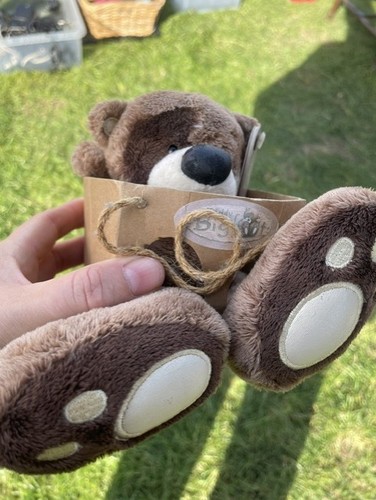 Teddy bear soft toy - , big