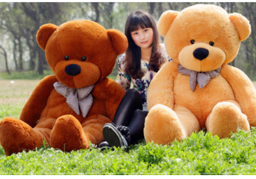 Large teddy bear - teddy, giant