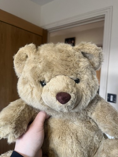 Super cute big brown bear - super,