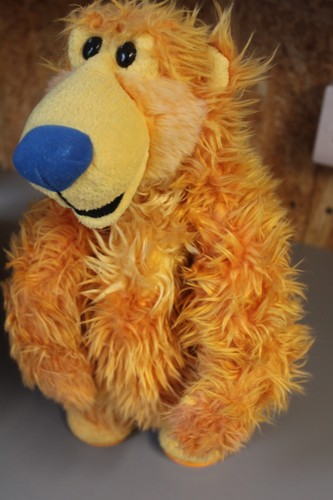 Bear the big - in, blue