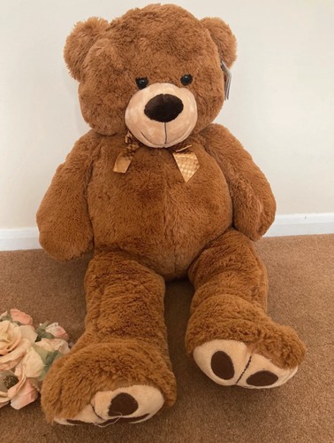 Freddy the big teddy bear - ,